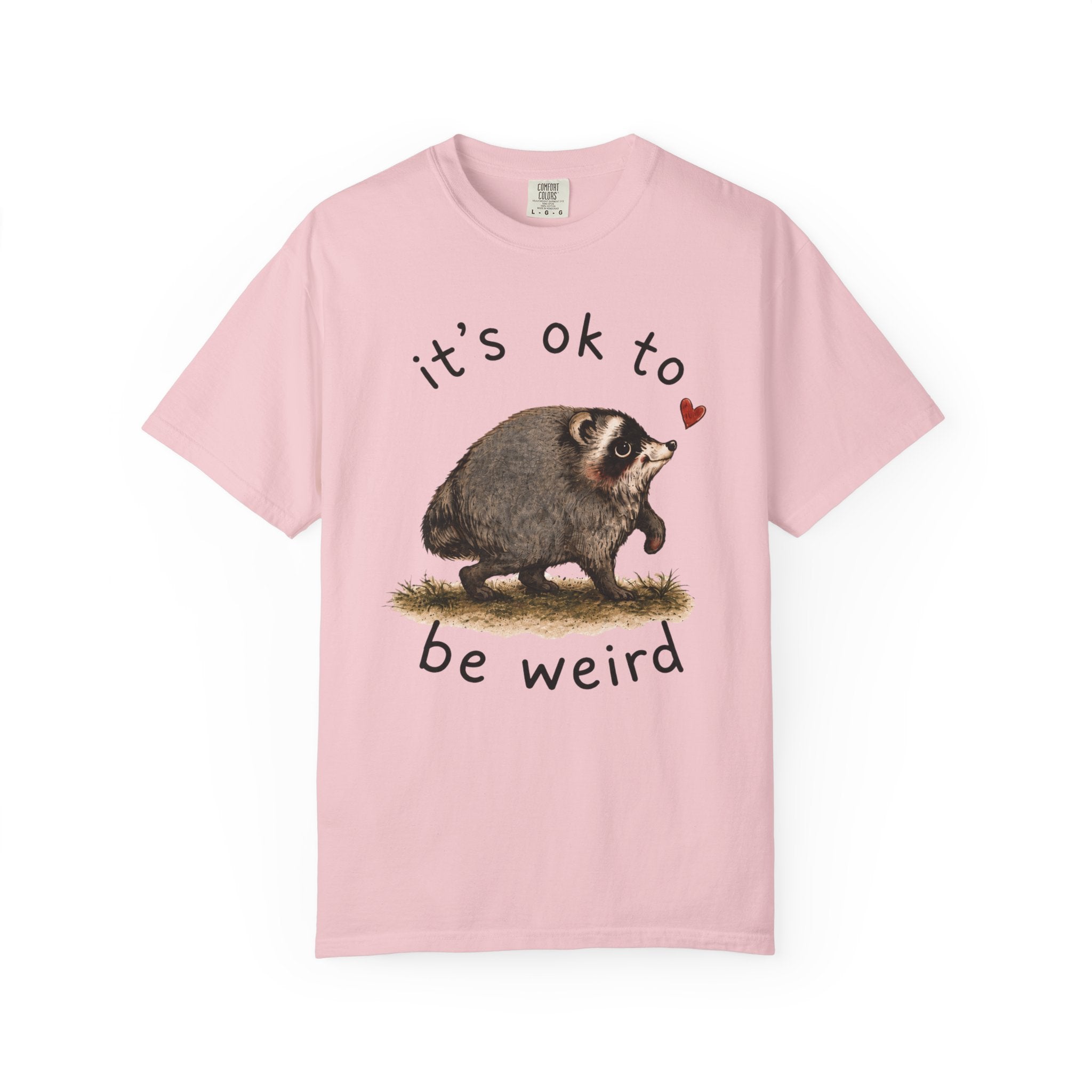Jimothy Raccoon Shirt, Viral Seattle Raccoon Tee, Whimsical Watercolor Wildlife T-Shirt