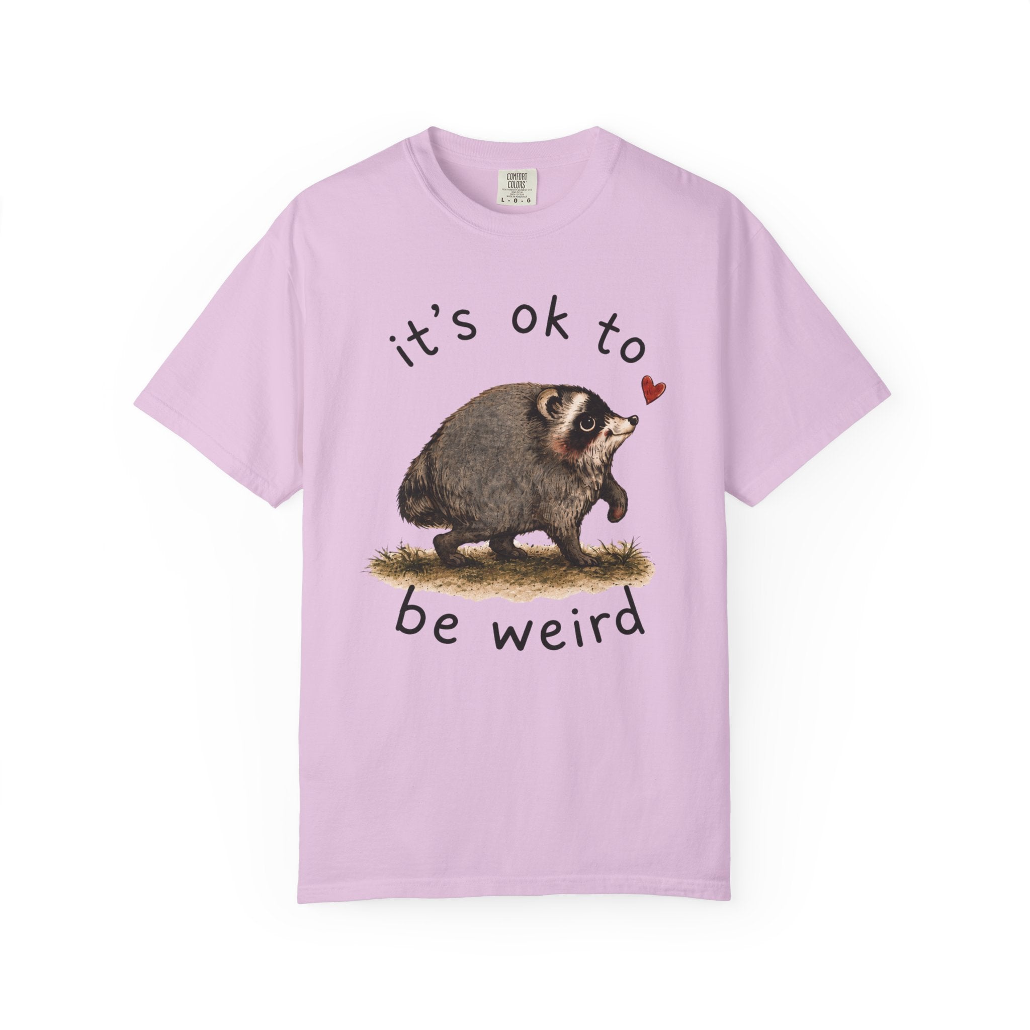 Jimothy Raccoon Shirt, Viral Seattle Raccoon Tee, Whimsical Watercolor Wildlife T-Shirt