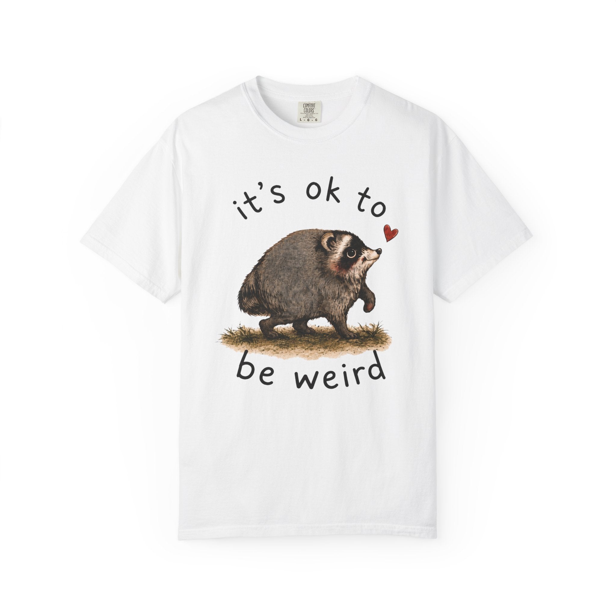 Jimothy Raccoon Shirt, Viral Seattle Raccoon Tee, Whimsical Watercolor Wildlife T-Shirt