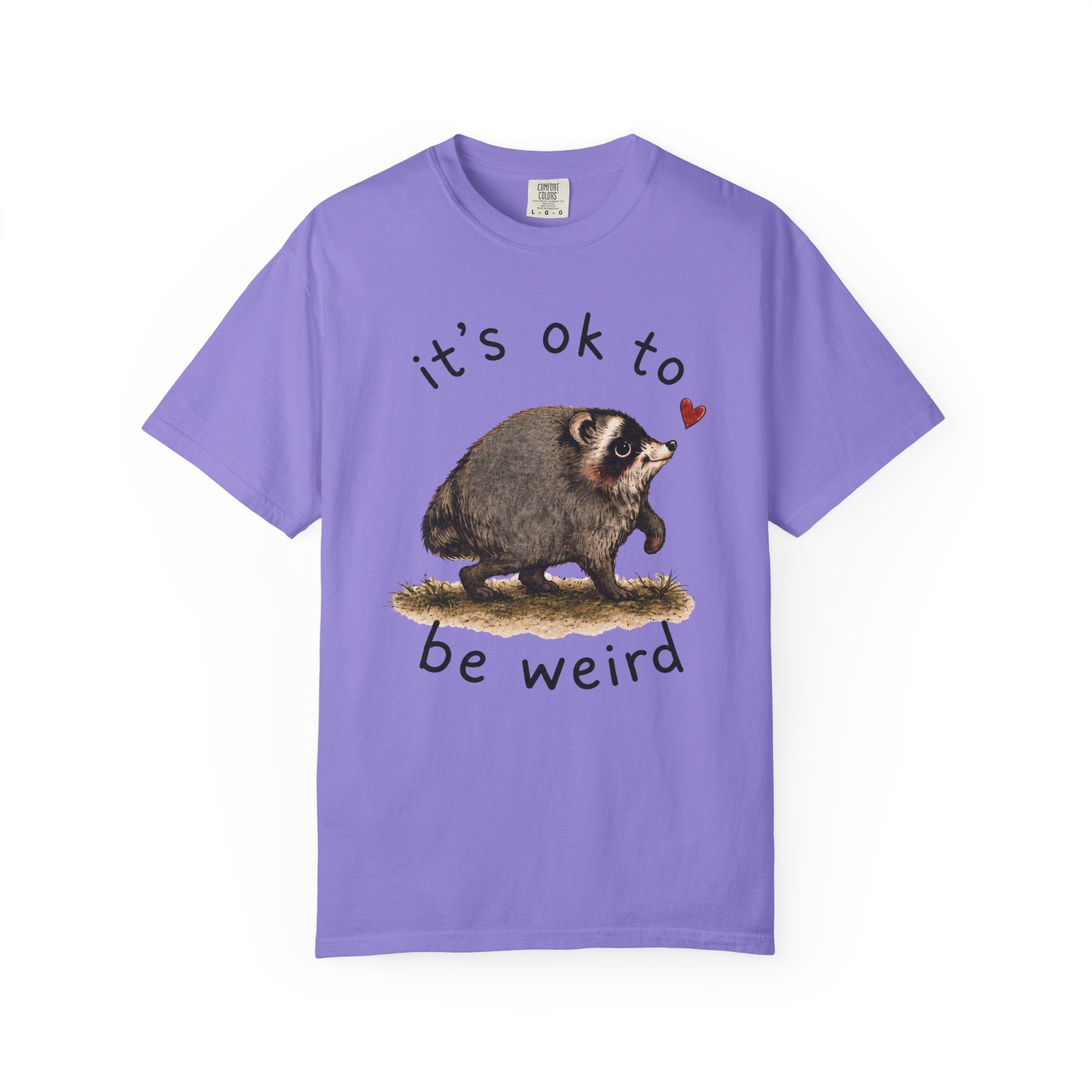 Jimothy Raccoon Shirt, Viral Seattle Raccoon Tee, Whimsical Watercolor Wildlife T-Shirt
