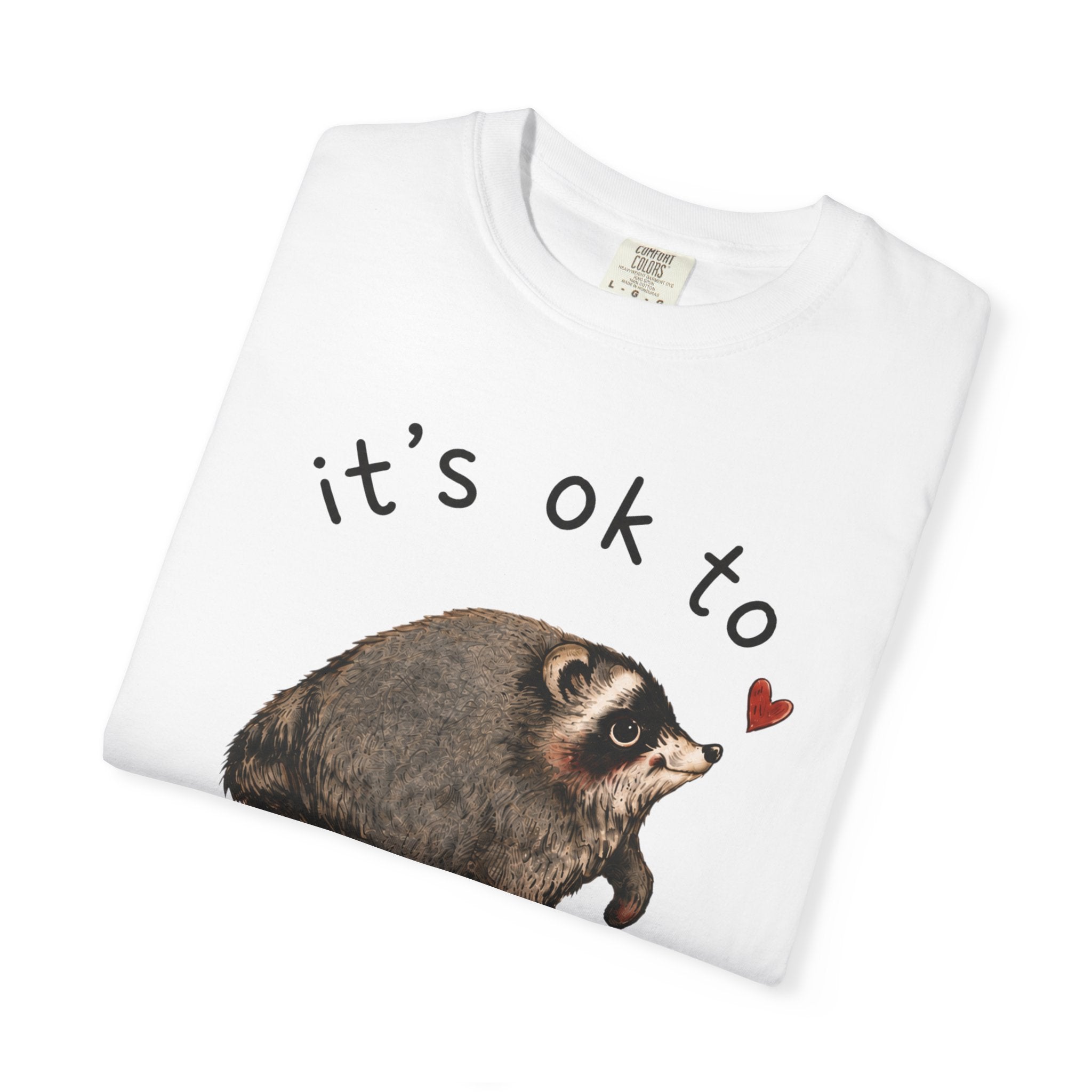 Jimothy Raccoon Shirt, Viral Seattle Raccoon Tee, Whimsical Watercolor Wildlife T-Shirt